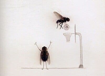 How do you develop an athlete's attention? The psychotechnical game "The fly"