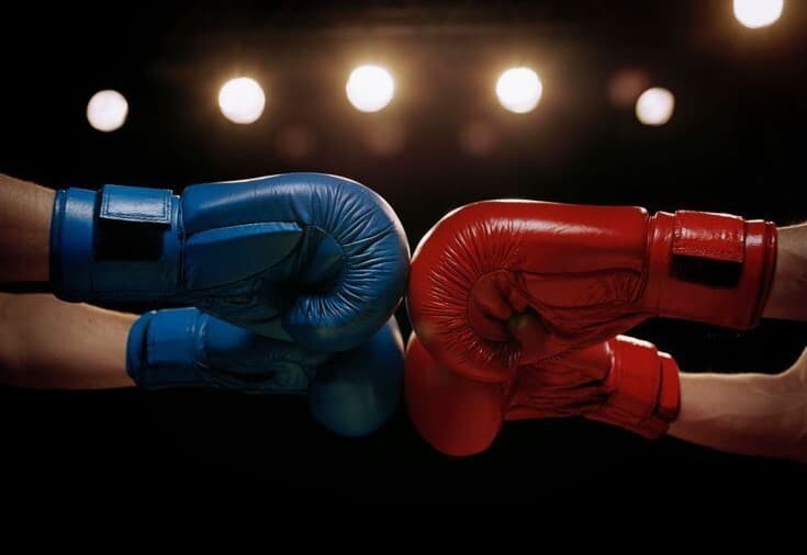 A sport psychologist in combat sports: controlling aggression and keeping a cool head in a fight